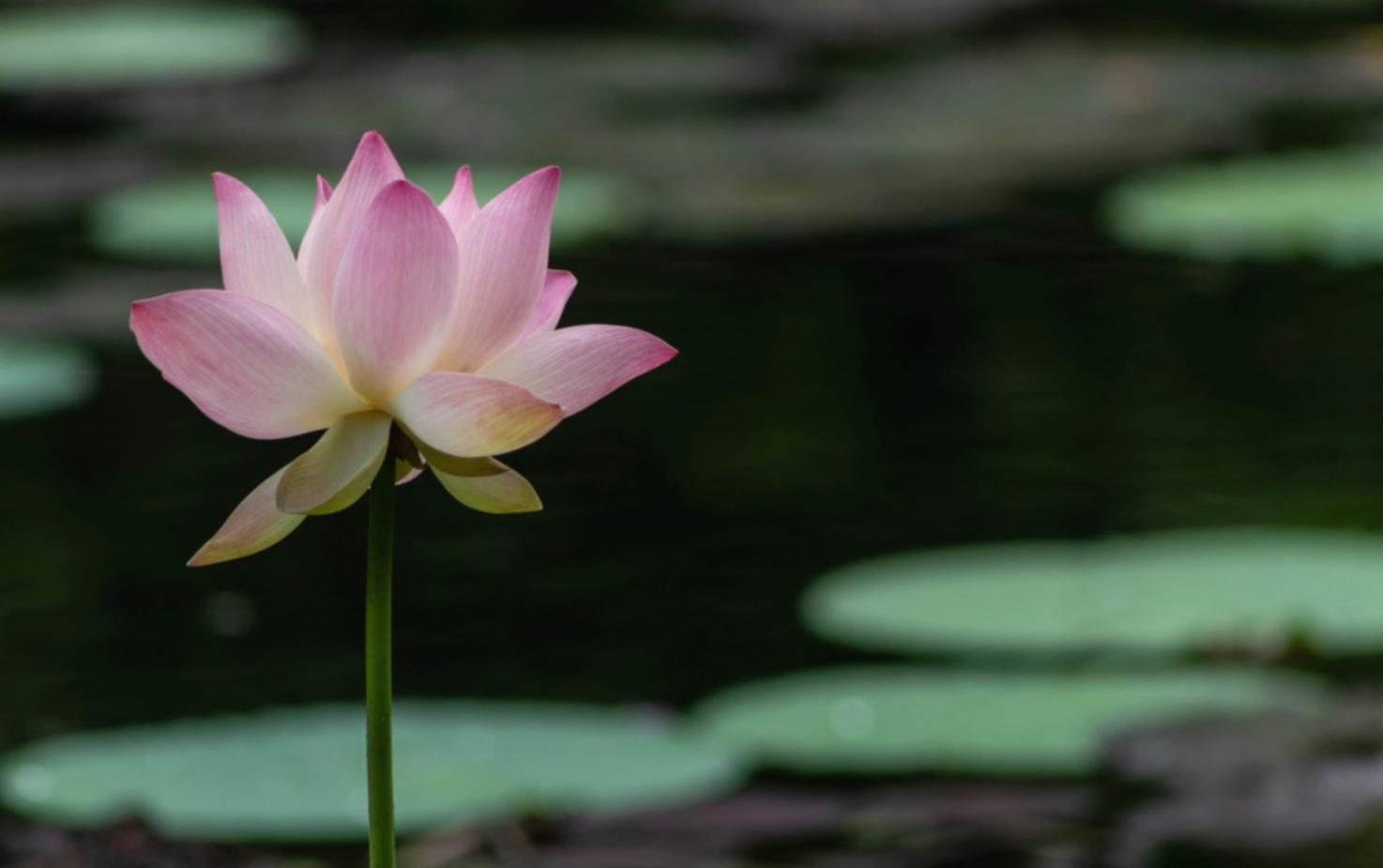 Ambiente di studio organizzato per massimizzare la concentrazione